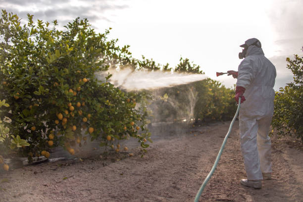 Best Cockroach Control Services  in Pendleton, IN